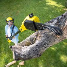 Best Lawn Drainage Solutions  in Hilmar Irwin, CA