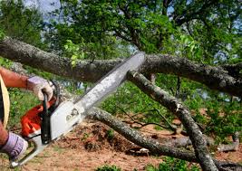 Best Lawn Maintenance Plans  in Hilmar Irwin, CA